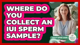 Where Do You Collect An IUI Sperm Sample?