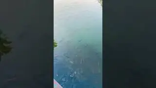 Fewatal pokhara
