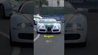 Dubai Police is built different!