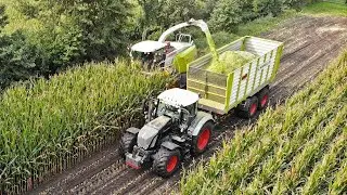 Mais Silage | Fendt 828 Vario Black Beauty + Claas Jaguar 950 | Schimmel | 2020