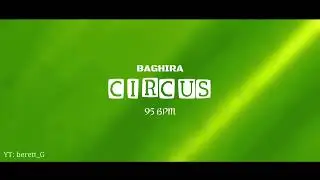 Baghira - Circus || Baron vs Nqp || Red Bull 2024 || Instrumental 2&deg; [95 BPM]
