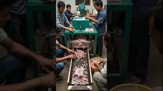 Insect Meat Production Line: Processing & Packaging in Action🦟🕷️🥩