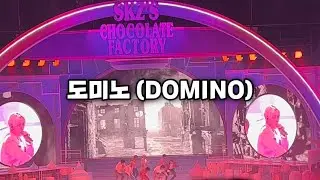 20220212 스트레이 키즈 팬미팅 직캠 - 도미노 (DOMINO) / Stray Kids Fanmeeting