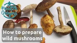 How to clean and prepare wild mushrooms