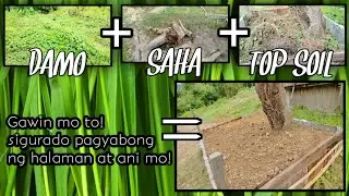 Pagawa ng Compost Soil na Libre /D.I.Y Compost for Plants / Compost Soul Making / Fertilizer