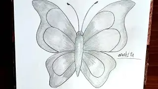 ۱۵ دسامبر ۲۰۲۵How to Draw a Butterfly Easily ✏️ | Step-by-Step Pencil Drawing for Beginners