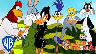 The Looney Tunes Award Nominations | Best Catchphrase | WB Kids
