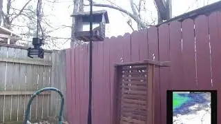 Arkansas Winter Weather