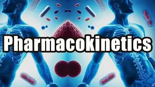 What is Pharmacokinetics ?