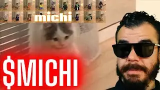 Solana Meme Coin | Michi Is The Ticker