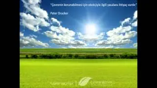 Ekoloji Sorunları