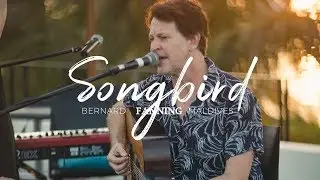 Bernard Fanning&rsquo;s Acoustic Performance of Songbird
