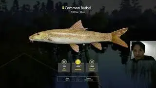 Common Barbel Spot Russian Fishing 4 Bear Lake Bonus Rocket Feeder Trial