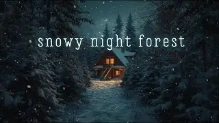 Winter Night Forest Ambience  I Gentle Wind, Creaking Trees & Distant Night Bird Sounds