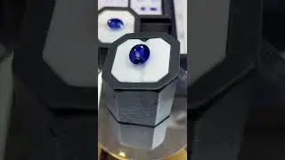 💙 Real Footage: Royal Blue Sapphires Ready to Be Sold Worldwide! 💎✨