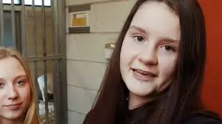 Curio prinsentuin van cooth - vlog profiel groen