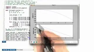 Eulerian Free Fall Solution - Differential Equations in Action