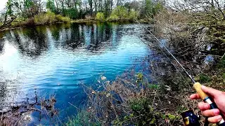 Can I make It 3&hellip; brown trout fishing Scotland