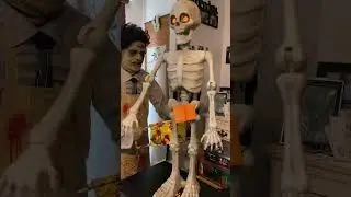 Target Animated 3FT Skeleton Halloween Prop 2025