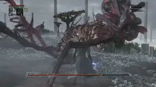 (Team Hitless Destroyed) BL4 Hitless Run Strategy - Moon Presence (READ DESCRIPTION)