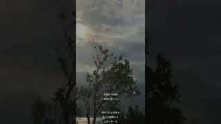 無条件の波動～強烈に感じる～