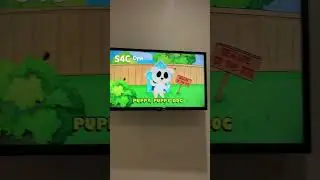 S4C - Cyw - Continuity