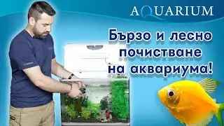 Бързо и лесно почистване на аквариума! Как да си почиствим аквариума?