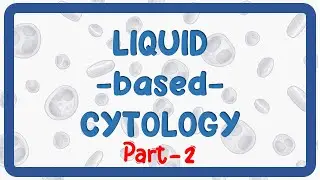 Liquid Based Cytology Explained | Part 2: Brushes, ThinPrep, Slides & More