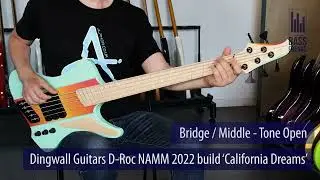 Dingwall D-Roc Custom shop Live Demo - BassFreaks.net