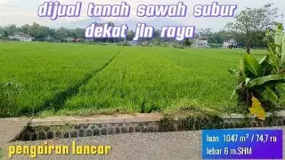 Dijual tanah sawah subur dekat jln raya ( 082194791760 )