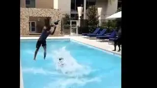 (NEW) King Bach 
