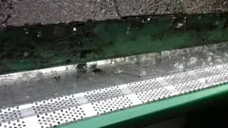 Leaf guard water test