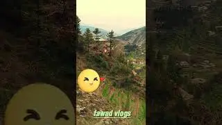 our village shalgah  #trending #youtubeshorts