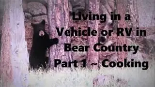 VAN CAMPING WITH BEARS ~ PART 1 ~ Cooking In Bear County In A Van, Car or Trailer, or Other Vehicle