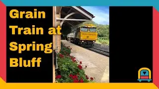 Grain Train at Spring Bluff Station &ndash; Queensland, Australia (19 January 2024)