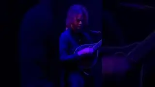Mandolin solo #shorts #livemusic #mandolin #indiefolkmusic