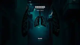 New! : การบริหารปอด : The CFO   #musiclyrics #music #spotifyclone