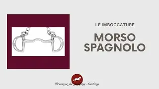 il morso spagnolo #dressageforjumping #equitazione #cavalli