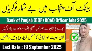 Bank of Punjab RCAD Officer Jobs 2025 | New Career Opportunities in Banking | Apply Online Now!