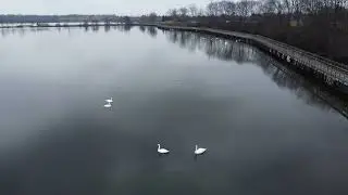 DJI Drone Mini 2 SE Winter Michigan Lake Swans