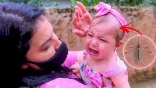 حشرة لدغة بيبي ميريام في غابة الحيوانات😓