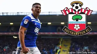 Every Che Adams Goal in 2018/19: Welcome To Southampton!
