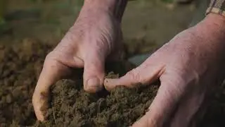 Soil  A Living Organism Explained
