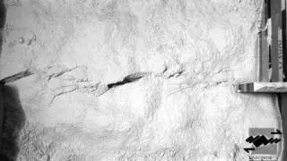 Strike-slip experiments using gypsum powder (Structural Geology analogue modeling)