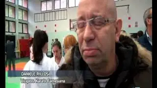 Arti marziali: sempre più donne vestono i panni di 