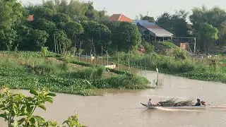 Daily Fishing Life in the Village | Traditional Methods and Riverside Living