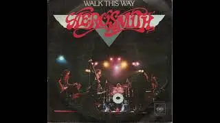 Walk This Way - AEROSMITH | Guitar Cover | Greco EG700 / P-Project Stratocaster&times; THD4-10