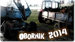 Obornik 2014 (Wiosna) Podkarpacie