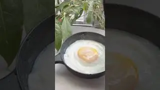 微波煎蛋便利好物#taiwan #egg #food #cooking #good #nicevideo #好物分享 #唐吉訶德 #best #homemade #eating #fast