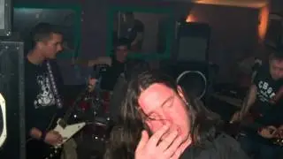 The Beauties - Teror